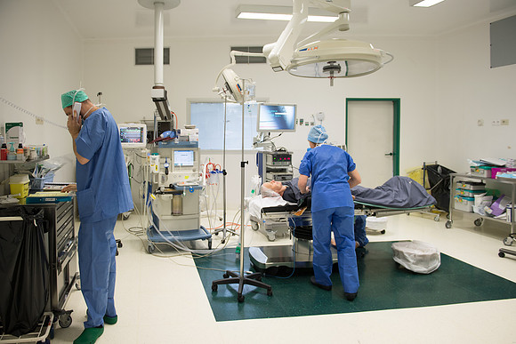 _SBR0644.jpg