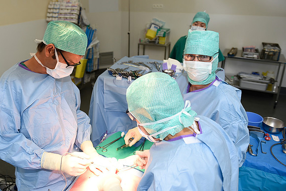 Urologie