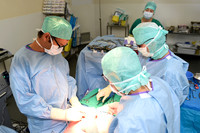 Urologie