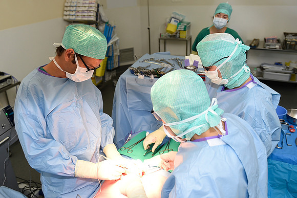 Urologie