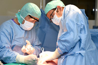 Urologie