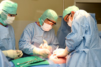 Urologie