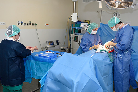 Urologie