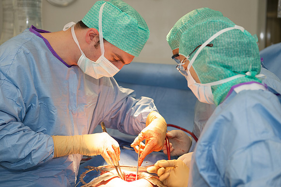 Urologie