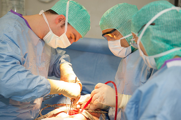Urologie