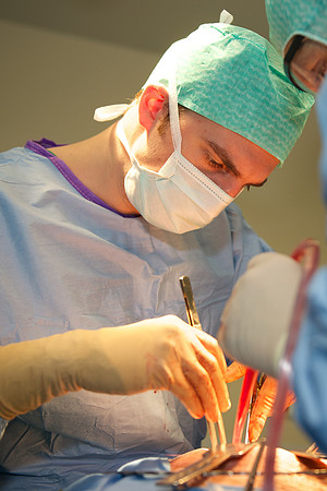 Urologie
