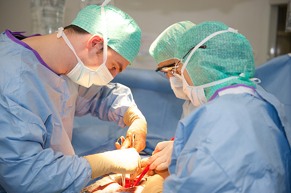 Urologie