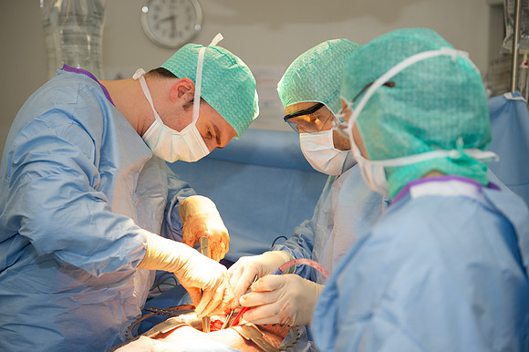 Urologie