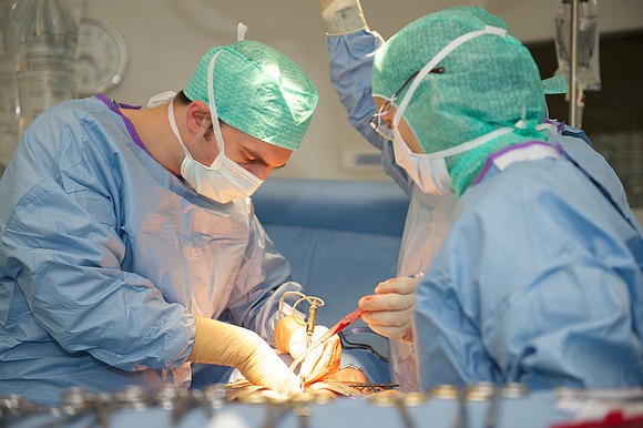Urologie