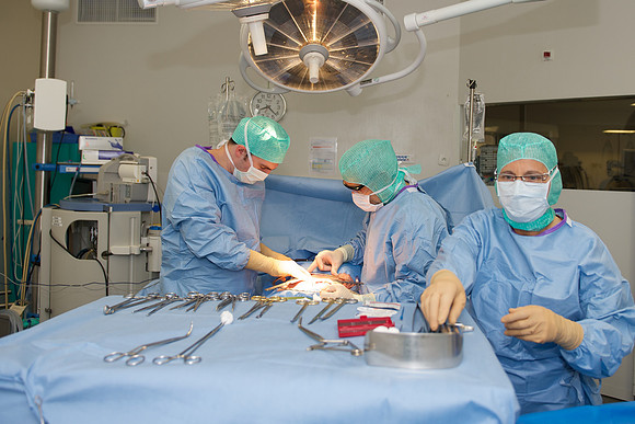 Urologie