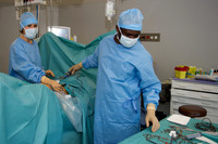 Docteur Rane