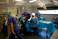 Docteur Rane