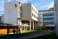 Docteur Rane
