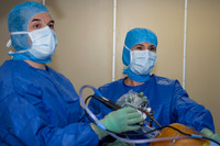 Clinique Bon Secours