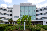 ccvp pau