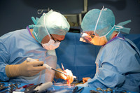 Dr Favreul