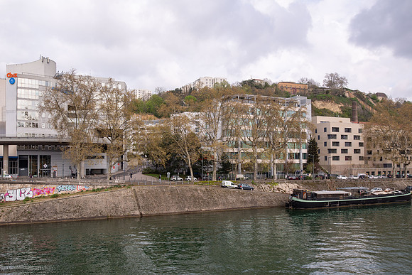 _SBR0541.jpg