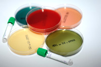 Medilabs