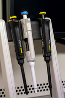 SBR_0216.jpg