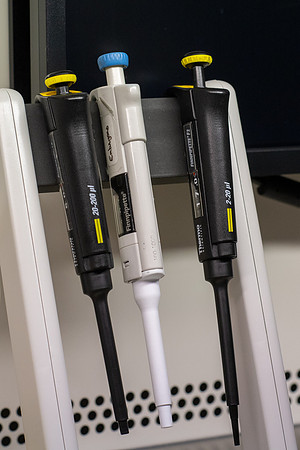 SBR_0216.jpg