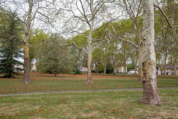 SBR_0341.jpg