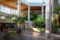 SBR_0669.jpg
