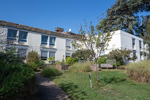 SBR_0828.jpg