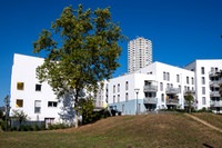 SBR_0990.jpg