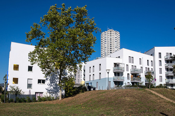 SBR_0990.jpg