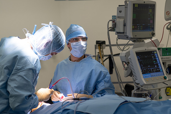 SBR_1419.jpg