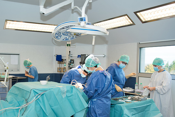 _SBR8106.jpg