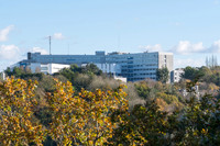 _SBR8019.jpg