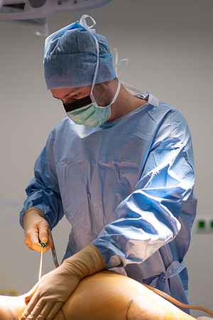 _SBR5937.jpg